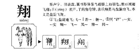 翔 五行|翔字的五行属什么